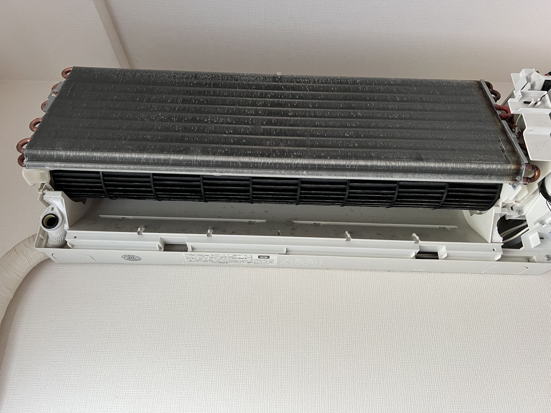 873DA748-82AC-4FF1-A4B3-E17FC75CBA11