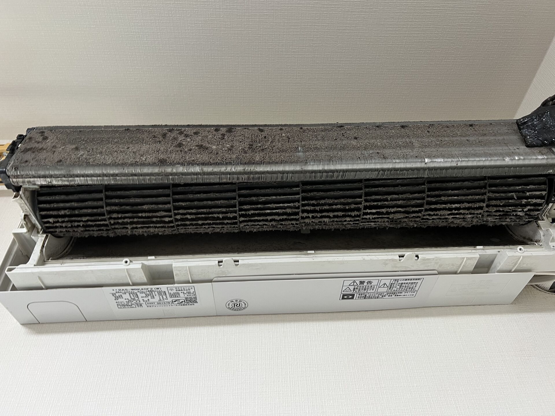 E90F350A-4379-4668-BA7F-404A8BDEC1EE