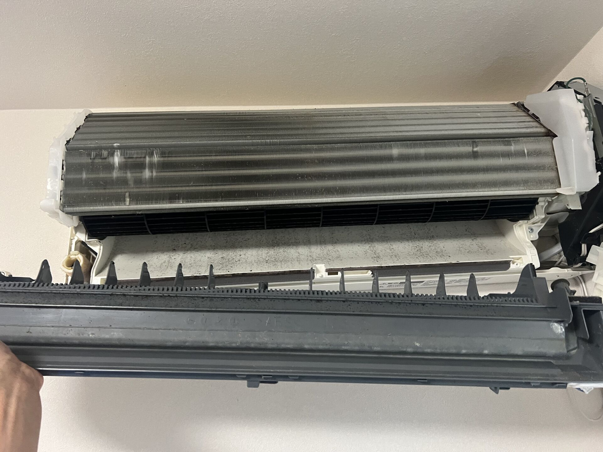 E8028EE1-CF34-45CB-95CC-514FDA43E613